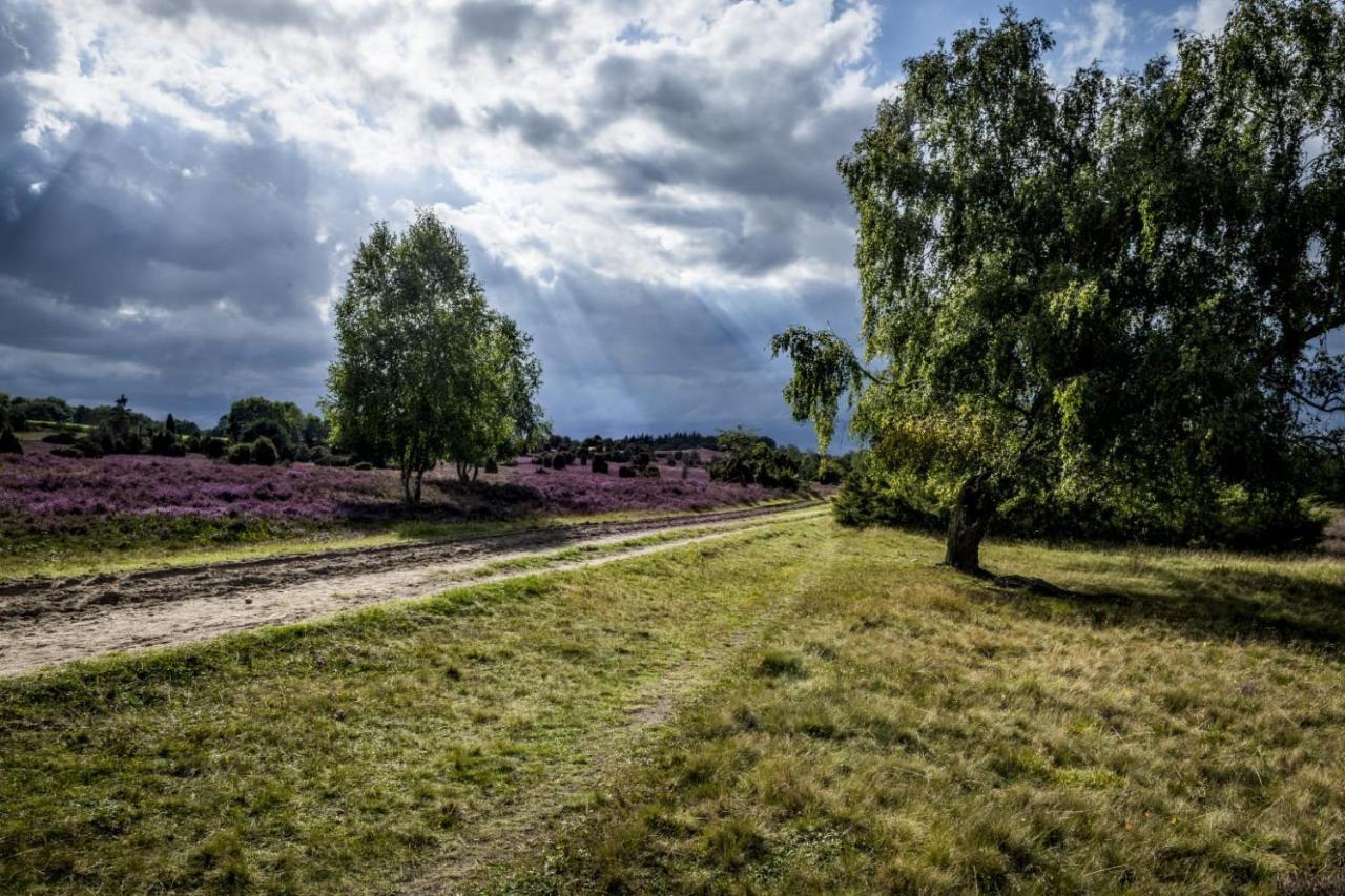 ביספינגן Ferienwohnung Heide View מראה חיצוני תמונה
